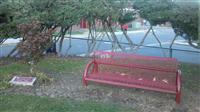 Tributes-Students-VTV_Mary_Read_Bench